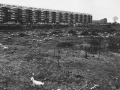 New buildings in Sant'Ambrogio district, Milan, 1972