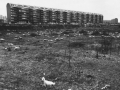 Nuove costruzioni nel quartiere Sant'Ambrogio, Milano, 1972