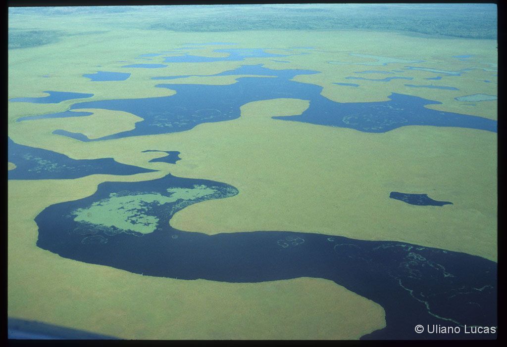 Siberia, 1990