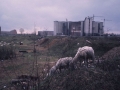 Sant’Ambrogio district, Milan, 1971 c.