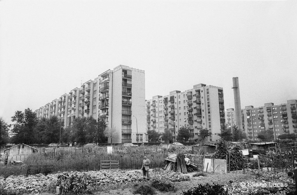 Vegetable gardens in Quarto Oggiaro neighborhood, Milan, 1975 c.