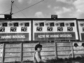 Campaign posters for the right to divorce, Milan, 1974