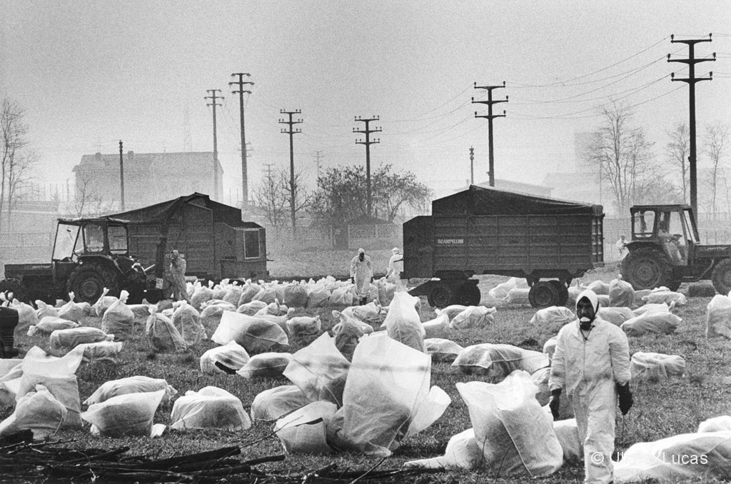 La bonifica dalla diossina, Seveso, 20 febbraio 1977