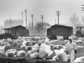 La bonifica dalla diossina, Seveso, 20 febbraio 1977
