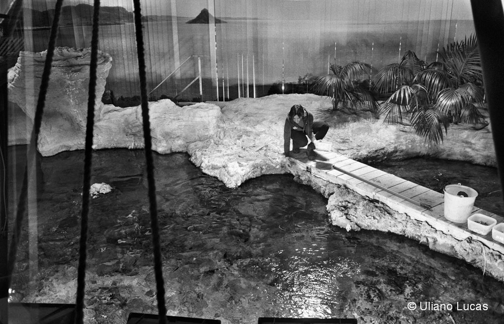 Acquario di Genova, 2016