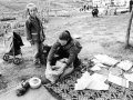 Quartiere di Dobrinja, Sarajevo, 1993
