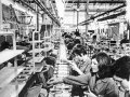 Assembly line at the industry Zanussi, Pordenone, 1971