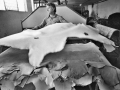 Small tanning industry in Vicenza area, 1985