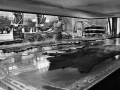 Cogolo tannery, Zugliano di Pozzuolo (Udine), 1988