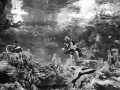 Aquarium of Genoa, 1994