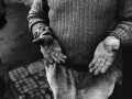 The hands of a peasant, inland of Genoa, 1994