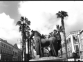 Il Cavallo con gualdrappa di Mario Ceroli in corso Vittorio Emanuele, novembre 2021