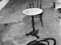 Al bar "Il posto delle fragole" nell'ex ospedale psichiatrico, Trieste, 1988