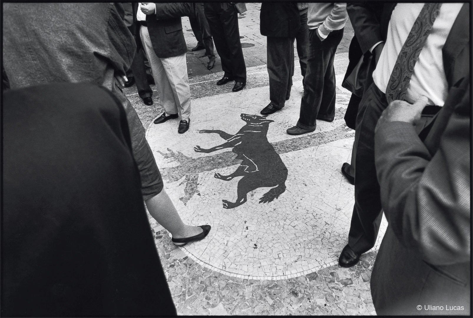 Stemma comunale in Piazza Sant'Oronzo, Lecce, 1988