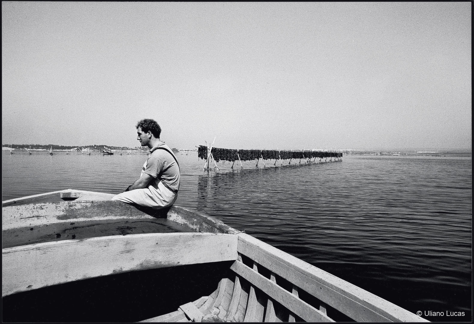 Allevamento di cozze nel Mar Piccolo, Taranto, 1995 c.