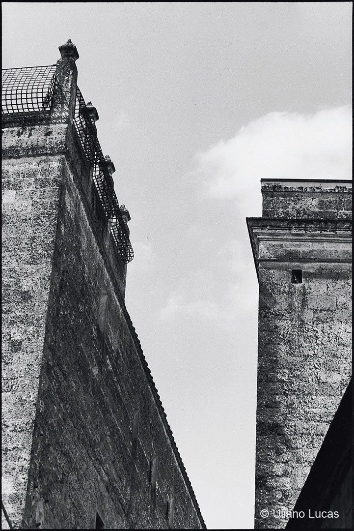 Duomo di Altamura (Bari), 1996