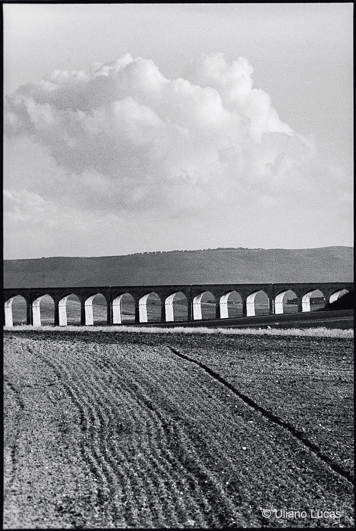 Murgia pugliese, novembre 2008
