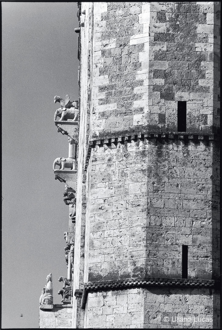 Duomo di Altamura (Bari), 1996