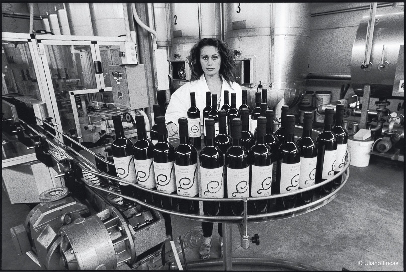 Imbottigliamento di vini a Manduria, 1996