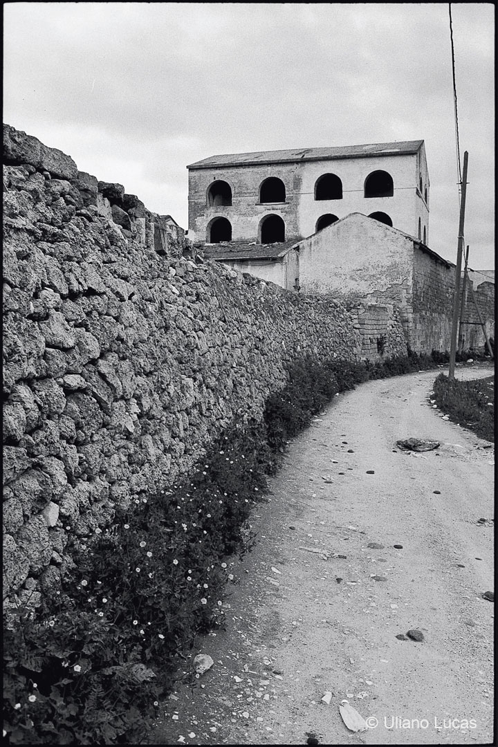 Mola di Bari, 2006