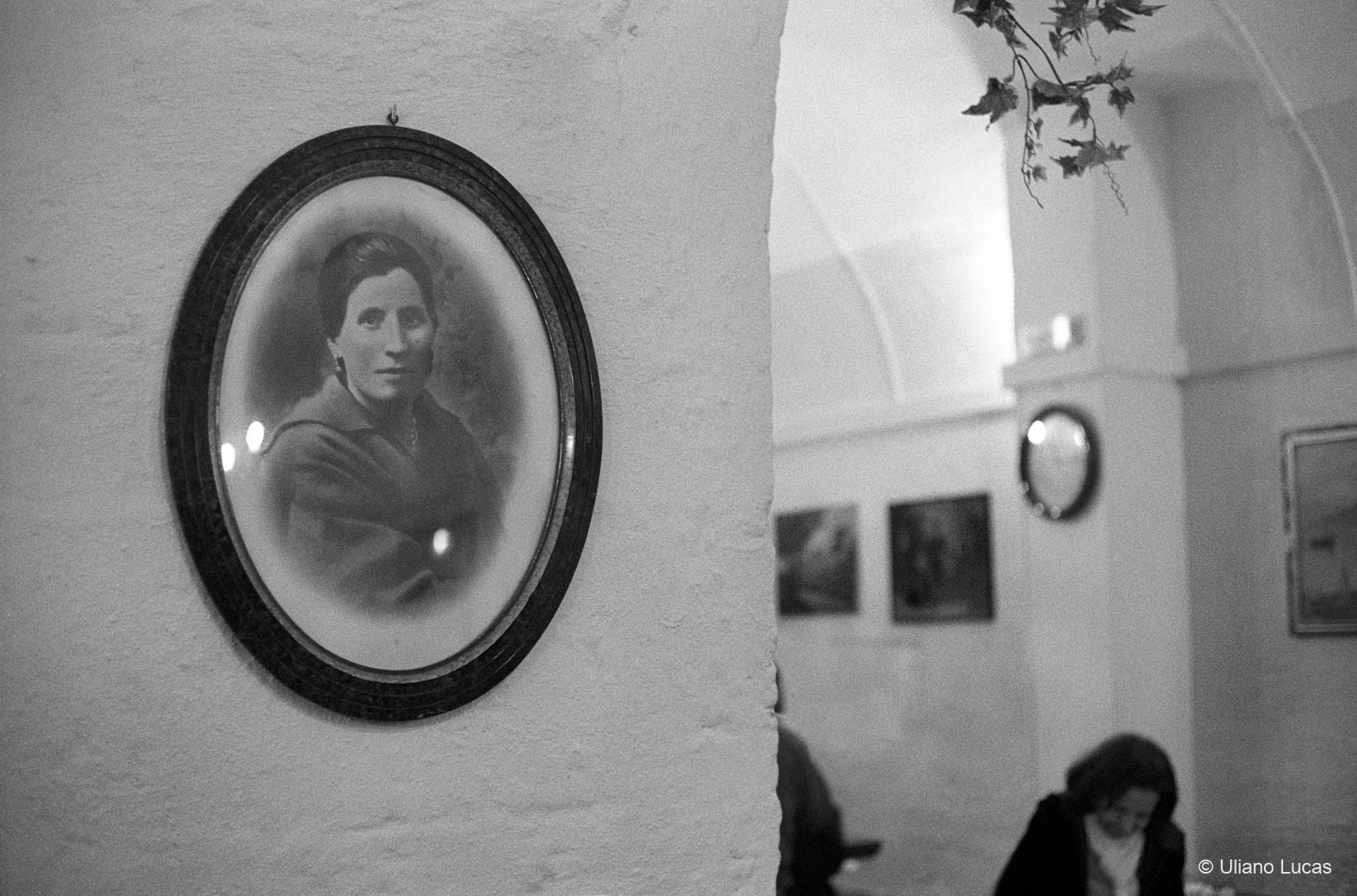 Trattoria a Bari Vecchia, 2010