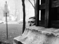 The painter Agostino Bonalumi at the gardens of San Marco road, Milan, 1966