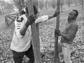 Attività di manutenzione nel parco Castelverde, Settimo, 2017